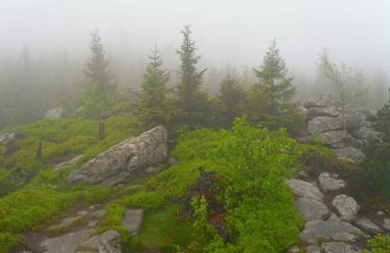 Landhaus am Schloss - Foto 53