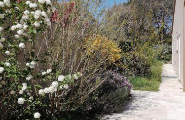 Villa gonfaron - Foto 14