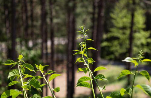 New Beautifully Updated Home with Gameroom! - Foto 73