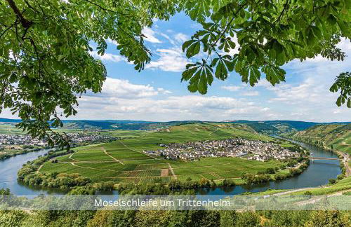 Bambuszimmer mit großem Dachgarten im Gästehaus Graf-Schmelzer - Foto 14