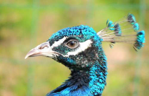 Bienvenue à La Sélinière ! - Foto 27