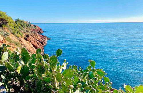 Superbe 6 couchages - 200m de la mer - Terrasse - Climatisation - Foto 43