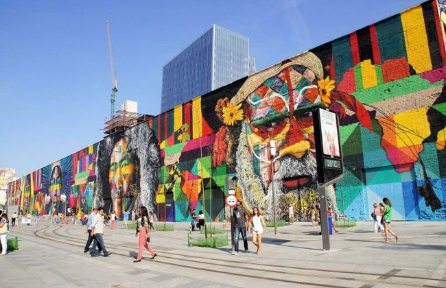 Olympic Boulevard Tour and AquaRio - Photo 4