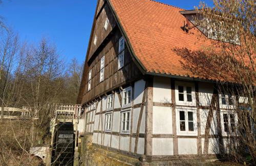 In der Wassermühle - Foto 26