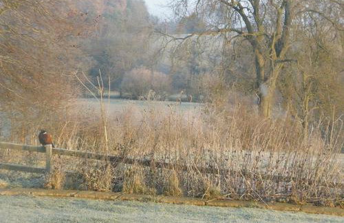 Wonderful Picturesque Countryside Cottage - Foto 9