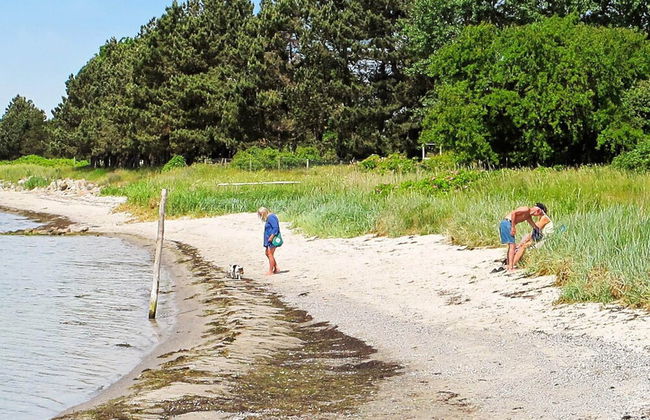 4 Person Holiday Home in Askeby - Foto 17