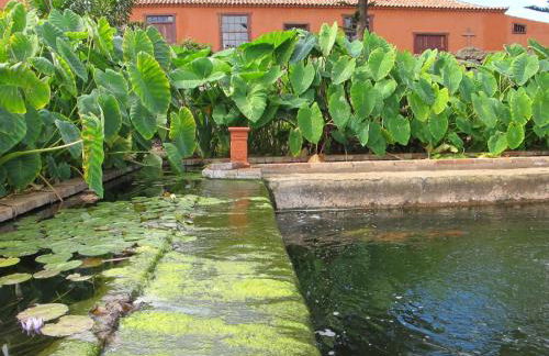 Haciendas del Valle - Las Kentias - Foto 40