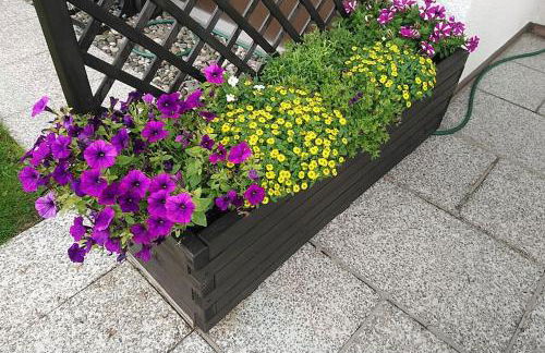 Komfort-Ferienwohnung Auf der Eulenburg - Foto 50