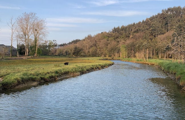 Apartamentos Las Garzas de Oyambre - Photo 37