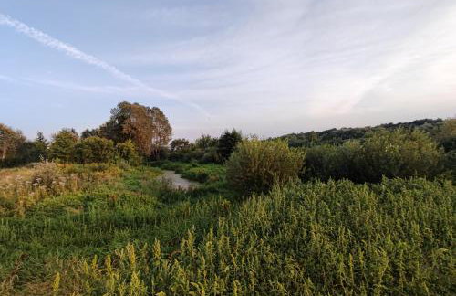 Tonkielek - Domek z Jacuzzi Nad Rzeką Bug - Foto 23