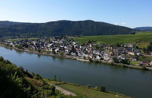 Mosel-Ferienwohnung Berhard - Foto 16