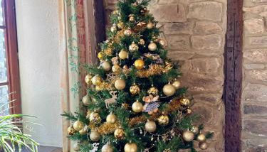Gîte Champagne Havre de Paix pour 4 Personnes au Cœur de la Forêt - Foto 5