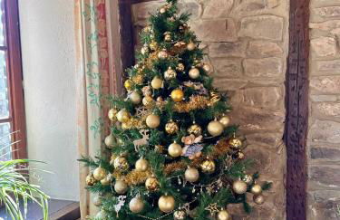 Gîte Champagne Havre de Paix pour 4 Personnes au Cœur de la Forêt - Foto 5