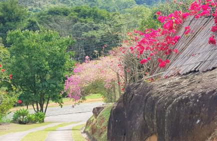 Tékinfin, você chegou! Lindo sítio em Secretário! - Foto 75