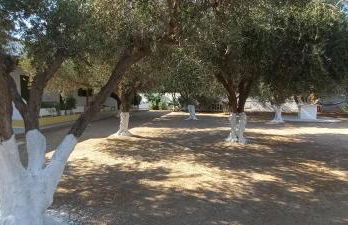 Leros Eleonas ApartmentS - Foto 14