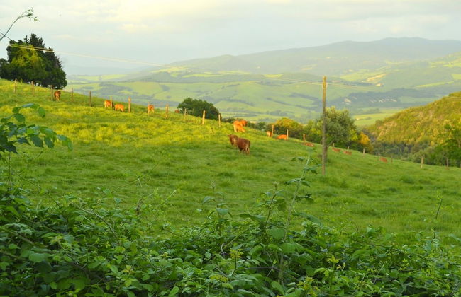 Apartment in the Village With air Conditioning - Foto 18