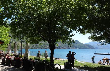 Il girasole - Foto 28