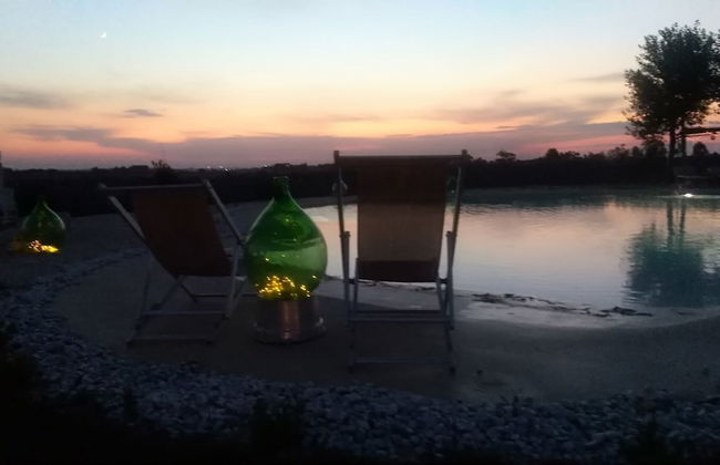 Falcon Home Resort - Photo 39