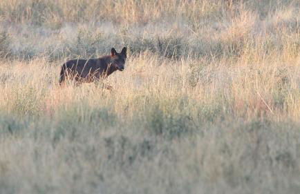 Casa da Portela - Foto 6