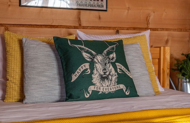 Willa Olsza Apartamenty - Foto 5