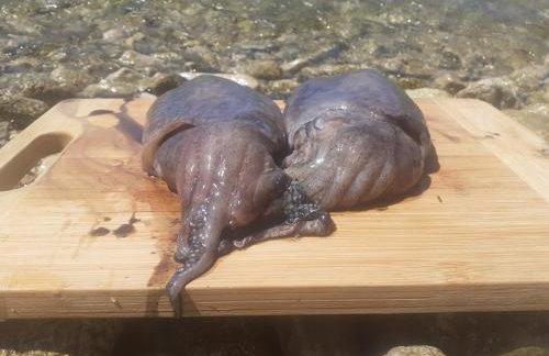 Sea house Anka - Foto 46