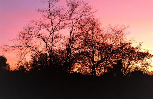 Old French Country Cottage for 2 nature lovers paradise - Foto 16