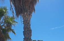 Apartamento Chilches Vistas al mar - Foto 22