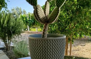 Riverside Αpartments - Foto 62