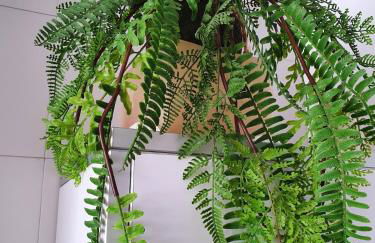 Relaxing experience in apt club nautico isleta - Foto 39