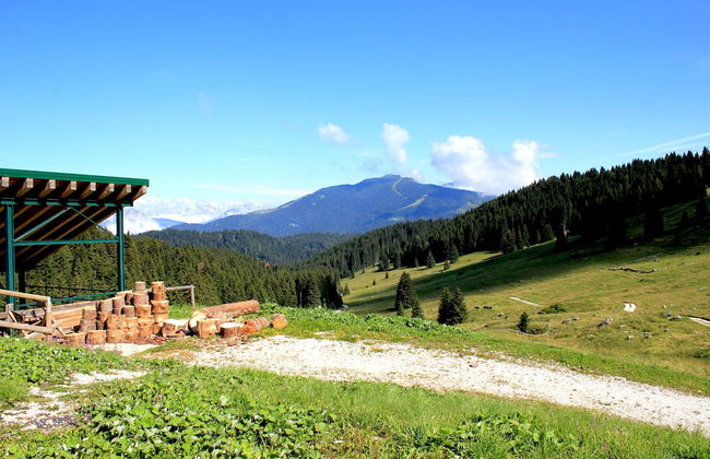 Casa Camilla Holiday - Photo 22