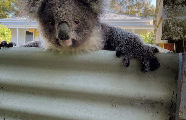 Tindoona Cottages - Foto 35