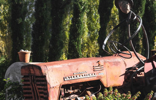 Hotel Finca Ca N'ai - Bio Nature Adults Only - Photo 52