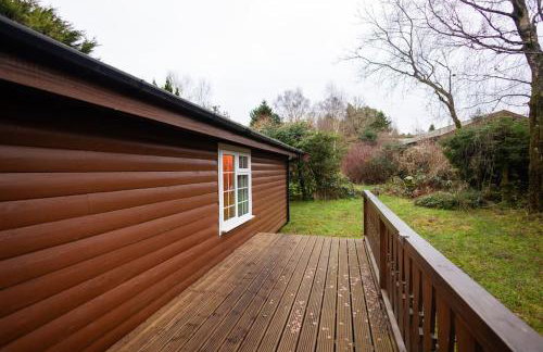 Rural Log Cabin in Snowdonia near Coed y Brenin by Seren Short Stays - Foto 52