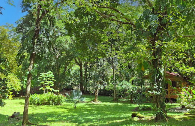 Cabinas Costa Tropicana - Foto 37