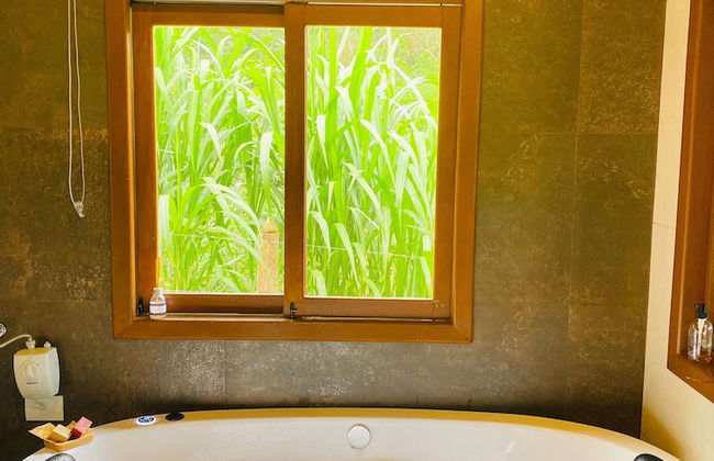 Refúgio dos pinhais - Foto 19