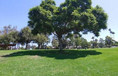 Beautiful Spacious 2 Bedroom, 2 Bathroom Condo - Foto 38