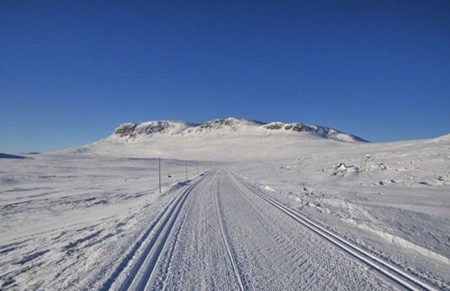 Havsdalsgrenda Apartments - Photo 32