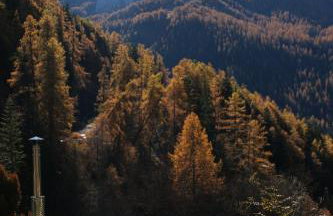 Le Cerf de la Lune - Foto 38