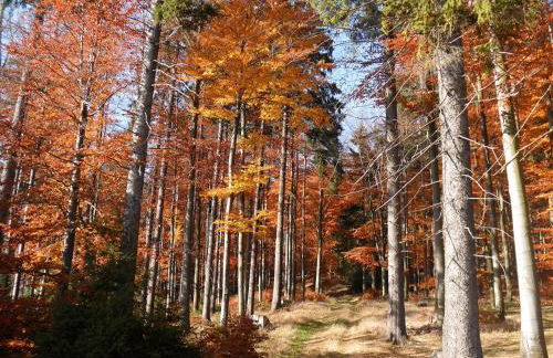 Ferienwohnung Am Apelsberg - Foto 5