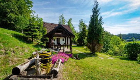 Holiday home in Delnice - Gorski Kotar 43959 - Foto 3, Garden