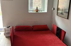 Un jardín en Santander - Photo 13