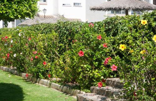 Sun-Kissed Cozy Bungalow - Foto 16