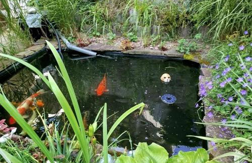 Ferienwohnung Gaby Lehmann - Photo 8