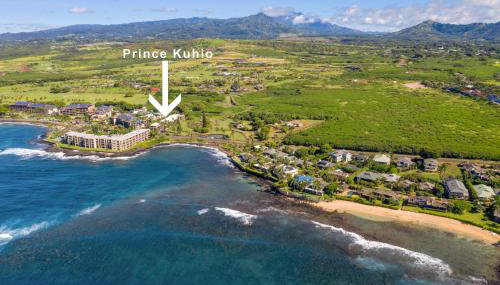 Prince Kuhio 110 - Photo 5