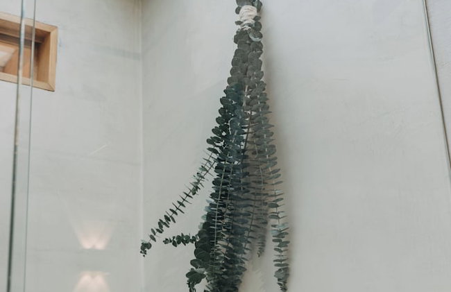 Casa Los Curazaos - Foto 26