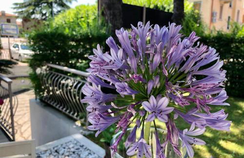 Sunset Apartment - Foto 28