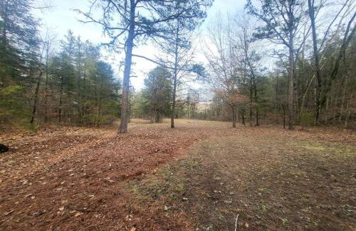 Hee Haw on the Creek - Foto 26