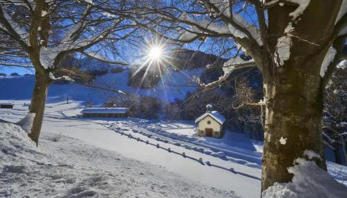 Casa tra i boschi - Foto 3
