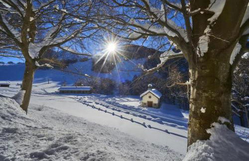 Casa tra i boschi - Foto 3