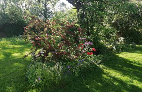 Anna - neue Ferienwohnung mit Blick ins Grüne - Photo 27